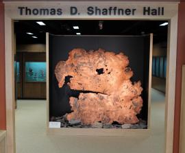 Entrance to the Thomas D. Shaffner exhibit hall with view of large sheet of native copper from the White Pine Mine, Michigan