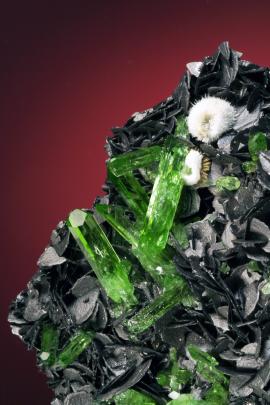 Diopside on graphite, Karo Mine, Merelani, Tanzania. A superb specimen of gem diopside crystals on some of the finest graphite crystals known. Sponsor: G. Arntsen. Field of view is approximately 4 cm wide. Photo by J. Jaszczak. (DM 30189)
