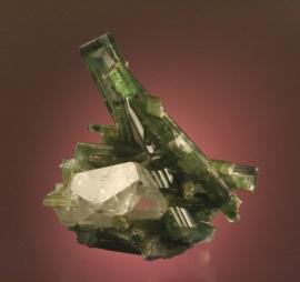 Elbaite, attributed to the Cruzeiro Mine, Minas Gerais, Brazil. An attractive specimen of translucent green crystals on quartz. Donor: M. Zinn. Specimen 10 cm tall. Photo by G. Robinson. (DM 23551)