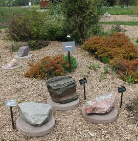 Igneous rocks in the Phyllis and John Seaman Garden - June 2017