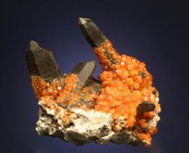 Spessartine, Quartz, Tongbei, Fujian, China. An outstanding specimen of orange spessartine crystals encrusting smoky quartz crystals. Specimen 12 cm tall. Photo by G. Robinson. (DM 27685)