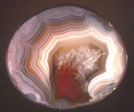 Agate, bottomlands of Lake Superior off Keweenaw Point, Keweenaw County, Michigan. Collected by diver Bob Barron. Donor: members of the A. E. Seaman Mineral Museum. Specimen 5.5 cm wide. Photo by J. Jaszczak. (DM 25600)