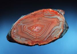 Agate, Lake Superior off Keweenaw Point, Michigan. A superb Lake Superior agate collected by diver Bob Barron from thebottomlands of Lake Superior. Donor: members of the A. E. Seaman Mineral Museum. Specimen 6.5 cm wide. Photo by J. Jaszczak. (DM 25605)