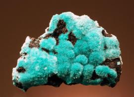 Aurichalcite, 79 Mine, Hayden, Arizona. A superb specimen of delicate aurichalcite crystals on matrix. Specimen 7.5 cm wide. Photo by G. Robinson. (DM 25025)