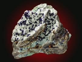 Azurite, Tintic district, Utah. Small azurite crystals on pale blue chalcoalumite. Specimen 11 cm wide. Photo by C. Stefano. (UM11792)