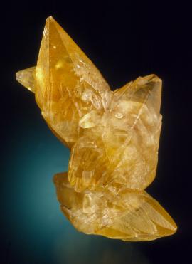 Calcite, France Stone Quarry, Monroe County, Michigan. A small but attractive specimen of honey-colored calcite crystals from lower Michigan. Donor: D. Gabriel. Specimen 5 cm tall. Photo by J. Scovil. (DM 23126)
