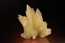 Calcite, Loc-Ketkipada, Bombay, India. A fine and unusual calcite crystal group from India. Donor: P. and J. Clifford. Specimen 13 cm tall. Photo by M. Schorr. (PJC 9505)