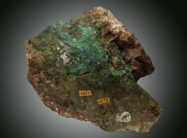 Chrysocolla, Copper Harbor, Keweenaw County, Michigan. This specimen comes from a vein that extends into Lake Superior from near the current location of the Copper Harbor lighthouse collected by Douglass Houghton. Donor: Douglass Houghton. Specimen 13 cm long. (UM489)