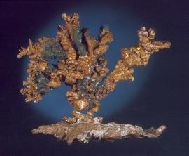 Copper, Central Mine, Keweenaw County, Michigan. A perfect “bonsai tree” of copper crystals on a matrix of native copper. From the collection of J. T. Reeder. Specimen 11 cm wide. Photo by G. Robinson. (JTR 669)