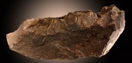 Copper, Ontonagon River, Ontonagon County, Michigan. A piece of the famous Ontonagon Boulder collected by Douglass Houghton and noted that it was deposited at the University of Michigan. Donor: Douglass Houghton. Specimen 17.8 cm across. Photo by C. Stefano (UM 1573)