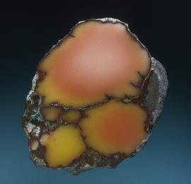 Datolite, Mesnard Mine, Houghton County, Michigan. A rare datolite nodule with colors zoning from the more common red to the much rarer yellow. Specimen 8 cm tall. Photo by J. Jaszczak. (DM 1489)