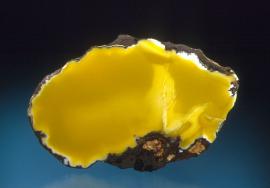 Datolite, High Rock Bay, Keweenaw County, Michigan. Yellow datolites like this one are among the rarest. Donor: L. Latoski. Specimen 6 cm wide. Photo by J. Jaszczak. (DM 22707) 