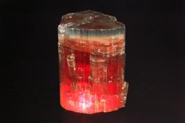 Elbaite, Pala King Mine, Pala, California. A pretty tourmaline crystal from the best U.S. locality for tourmalines. Specimen 10 cm tall. Photo by J. Jaszczak. (DM 5)