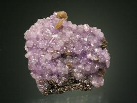 Fluorapatite, Rapid Creek, Yukon, Canada. A fine crystal group of purple apatite from Rapid Creek. From the Patrick Collins collection, one of the most well-documented and comprehensive collection of minerals from Rapid Creek. Specimen 3.5 cm across. Photo by G. Robinson. (DM 27753)