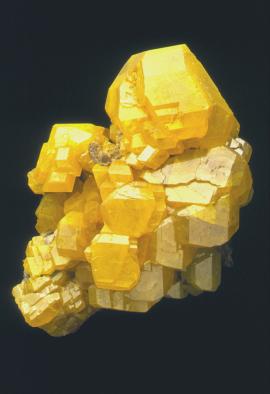 Sulfur, Cianciana, Sicily, Italy. An outstanding large specimen of sulfur crystals from the world’s best locality for the species. Specimen 20 cm tall. Photo by J. Scovil. (DM 301)