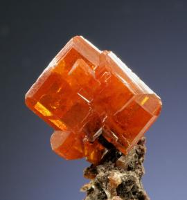 Wulfenite, Red Cloud Mine, La Paz Co., Arizona. A sharp, orange-red crystal of wulfenite from one of the premier localities for the species. Donor: D. C. Gabriel. Specimen 2 cm tall. Photo by G. Robinson. (DCG 8) 