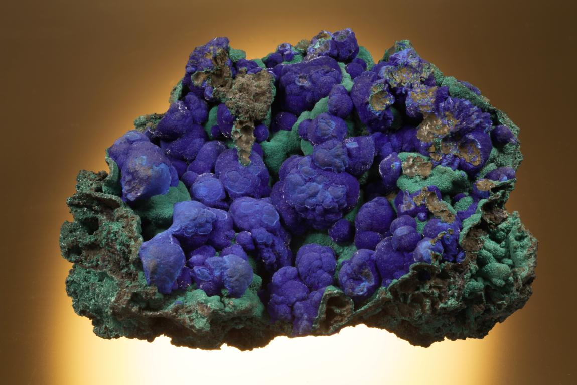  Azurite, Bisbee, Cochise County, Arizona. Velvety azurite on malachite from one of America’s classic localities. Donor: E. Heinrich. Specimen 14 cm wide. Photo by C. Stefano. (DM 23095)