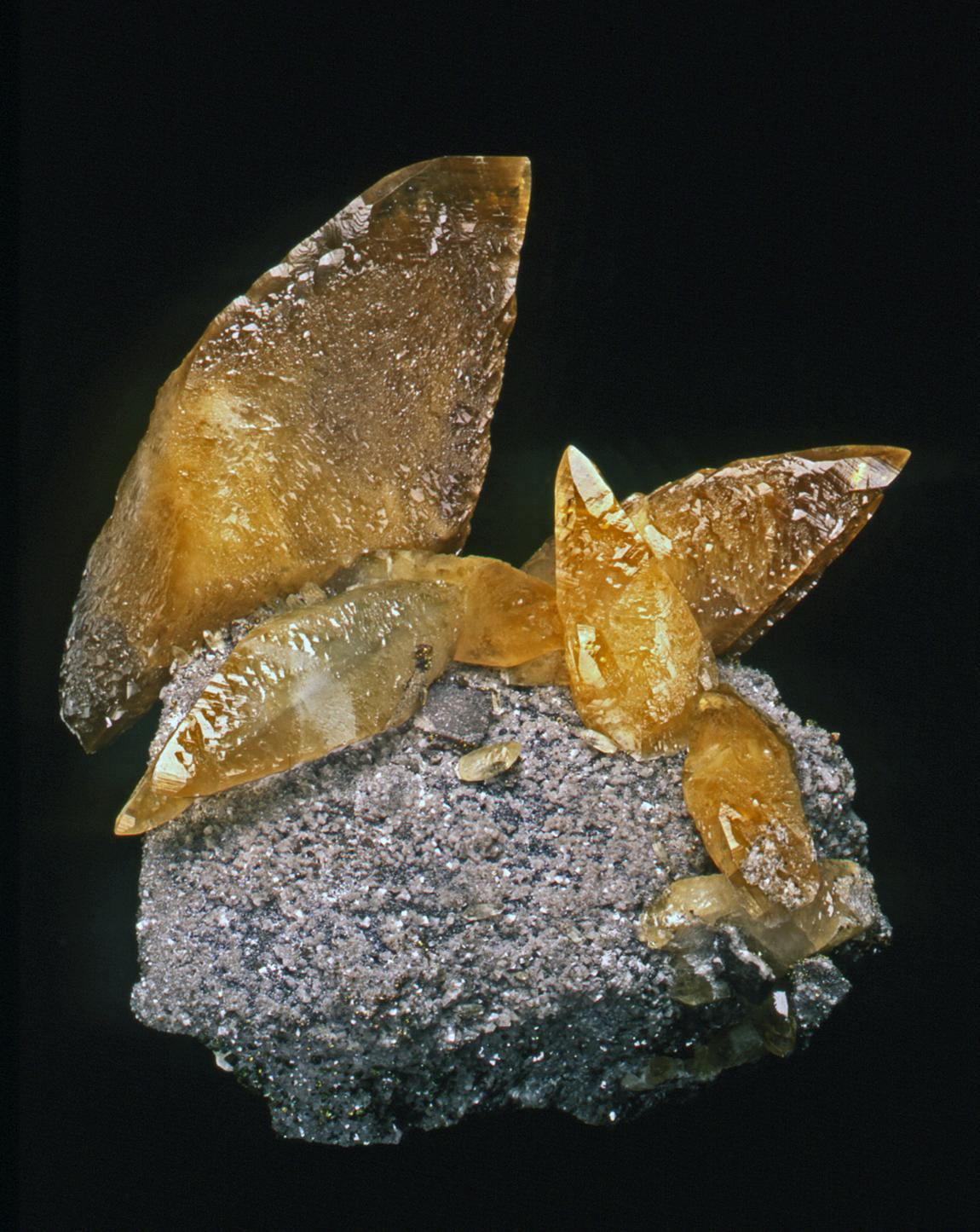 Calcite, Sweetwater Mine, Reynolds County, Missouri. Very large calcite crystals on matrix. Specimen 36 cm tall. Photo by J. Scovil. (DM 22362)