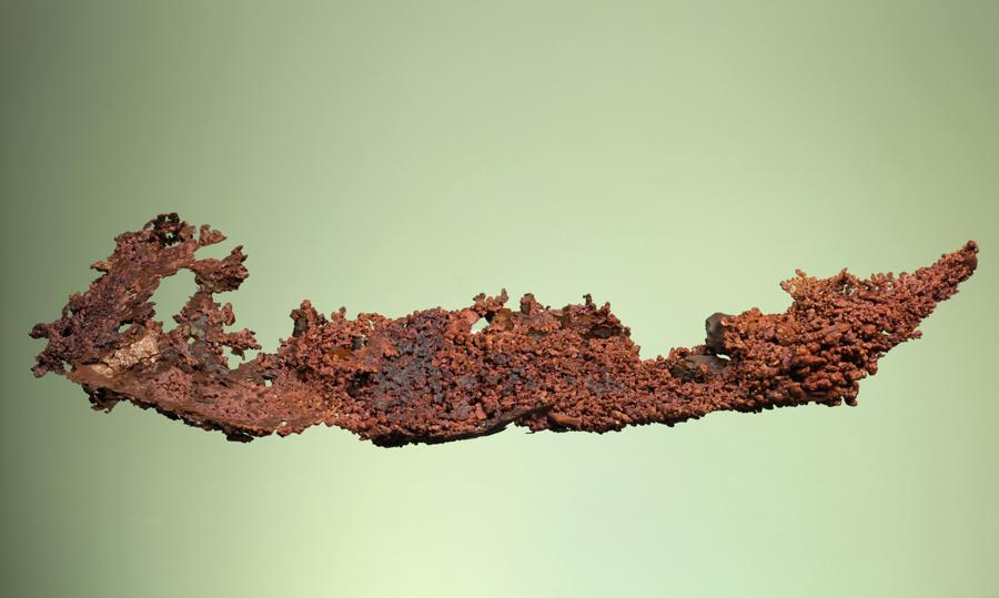 Copper, Milpillas Mine, Sonora, Mexico. A large crystal group of native copper from a locality better known for its azurite specimens. Specimen 30 cm wide. Photo by C. Stefano. (DM 31189)