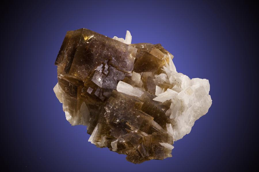 Fluorite and celestine, White Rock Quarry, Clay Center, Ohio. Clay Center is probably the best-known locality for fluorite in Ohio. Donor: P. and J. Clifford. Sepcimen 13 cm wide. Photo by M Schorr. (PJC 07030)