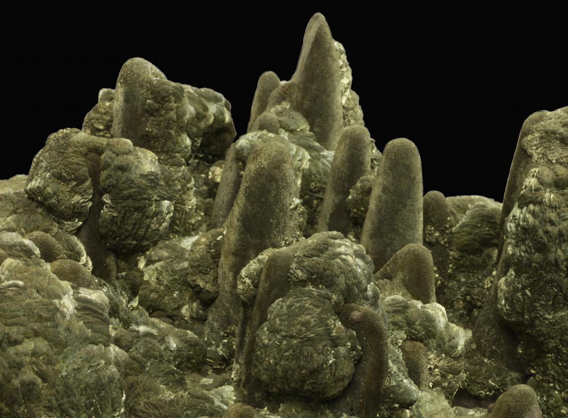 Marcasite, Blackstone Mine, Shullsburg, Lafayette County, Wisconsin. A very large plate of marcasite stalactites. Donor: L. Hampel. Field of view is approximately 30 cm wide. Photo by C. Stefano and J. Jaszczak. (DM 28859)