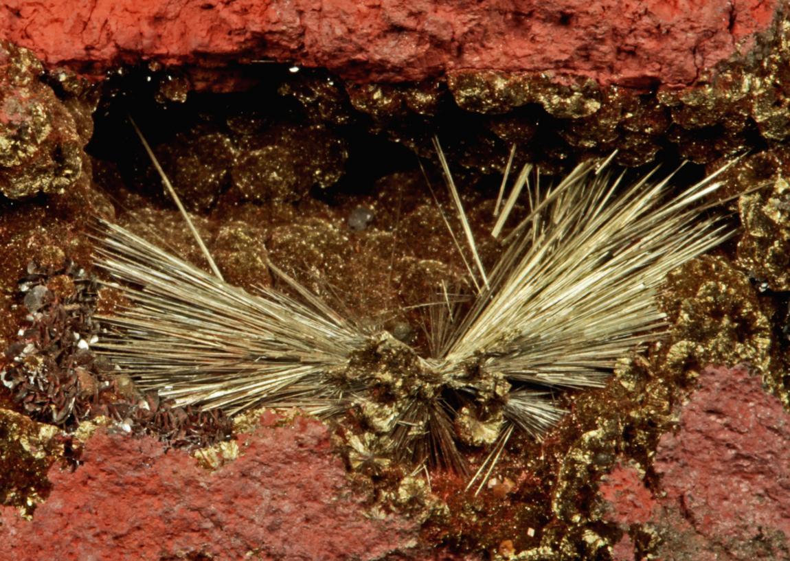 Millerite, Sterling Mine, Antwerp, New York. Rare millerite crystals from one of the world’s best localities for fine millerite specimens. Field of view is approximately 3 cm wide. Photo by G. Robinson. (DM 30065)