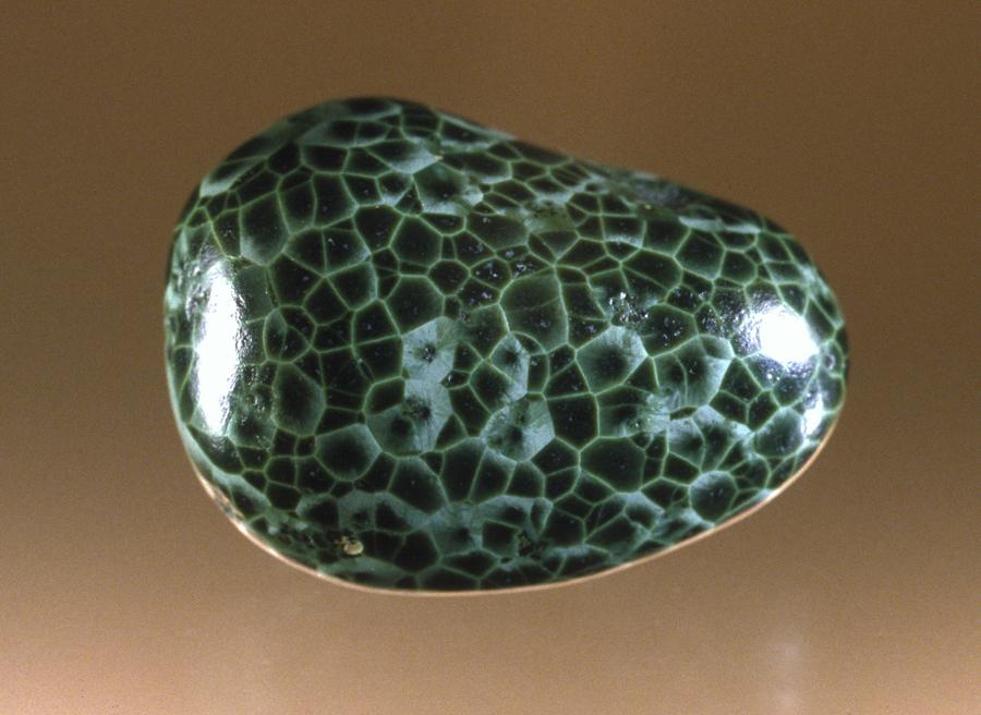 Pumpellyite variety greenstone, Isle Royale National Park, Michigan.  “Greenstone” is Michigan’s state gemstone. Specimen 4 cm wide. Photo by J. Jaszczak.