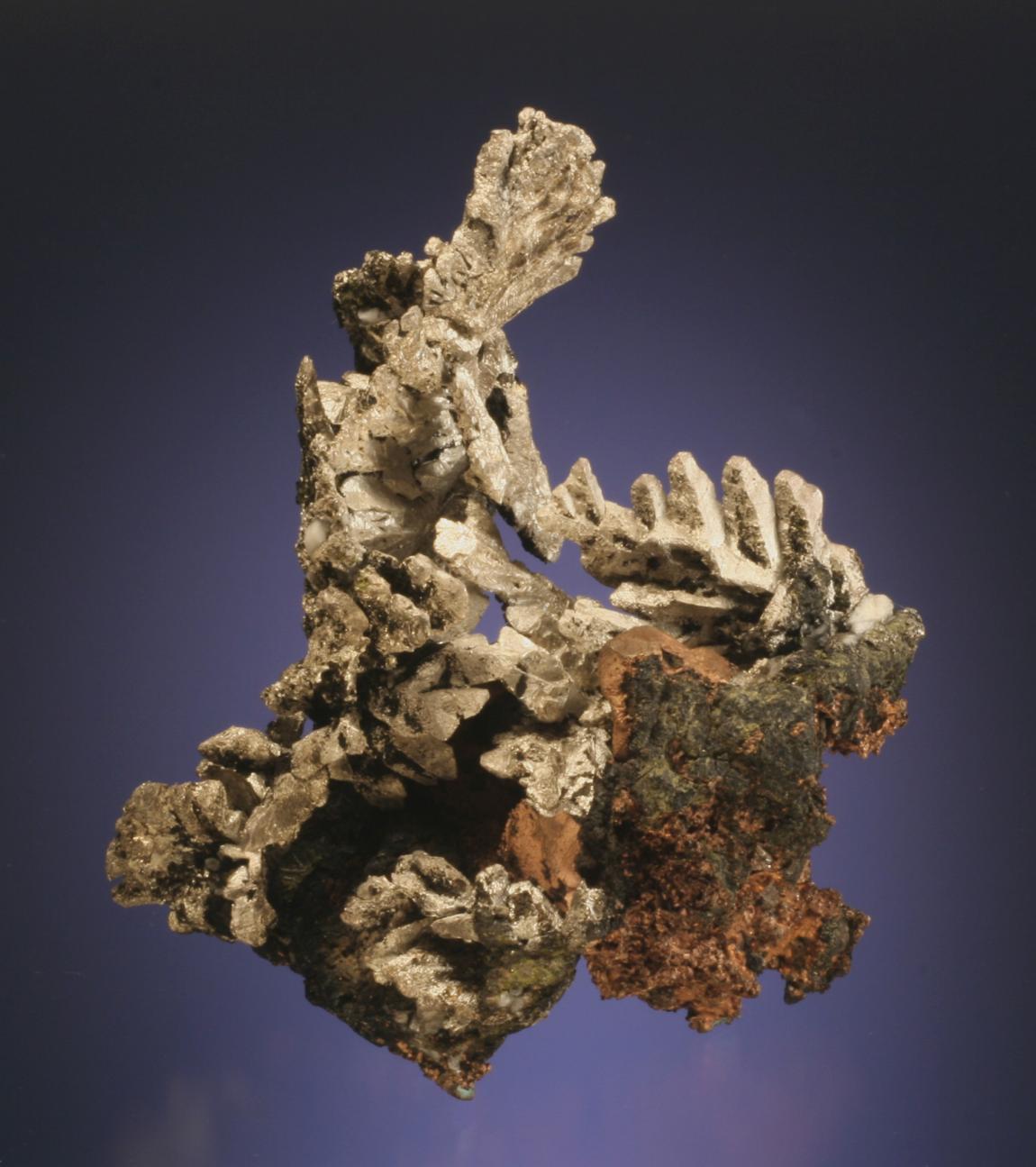 Silver, Cliff Mine, Keweenaw County, Michigan. One of the museum’s finest silvers, this specimen is one of only a very few good silvers from the Cliff Mine known. Donor: L. L. Hubbard. Specimen 10 cm tall. Photo by G. Robinson. (LLH 508)