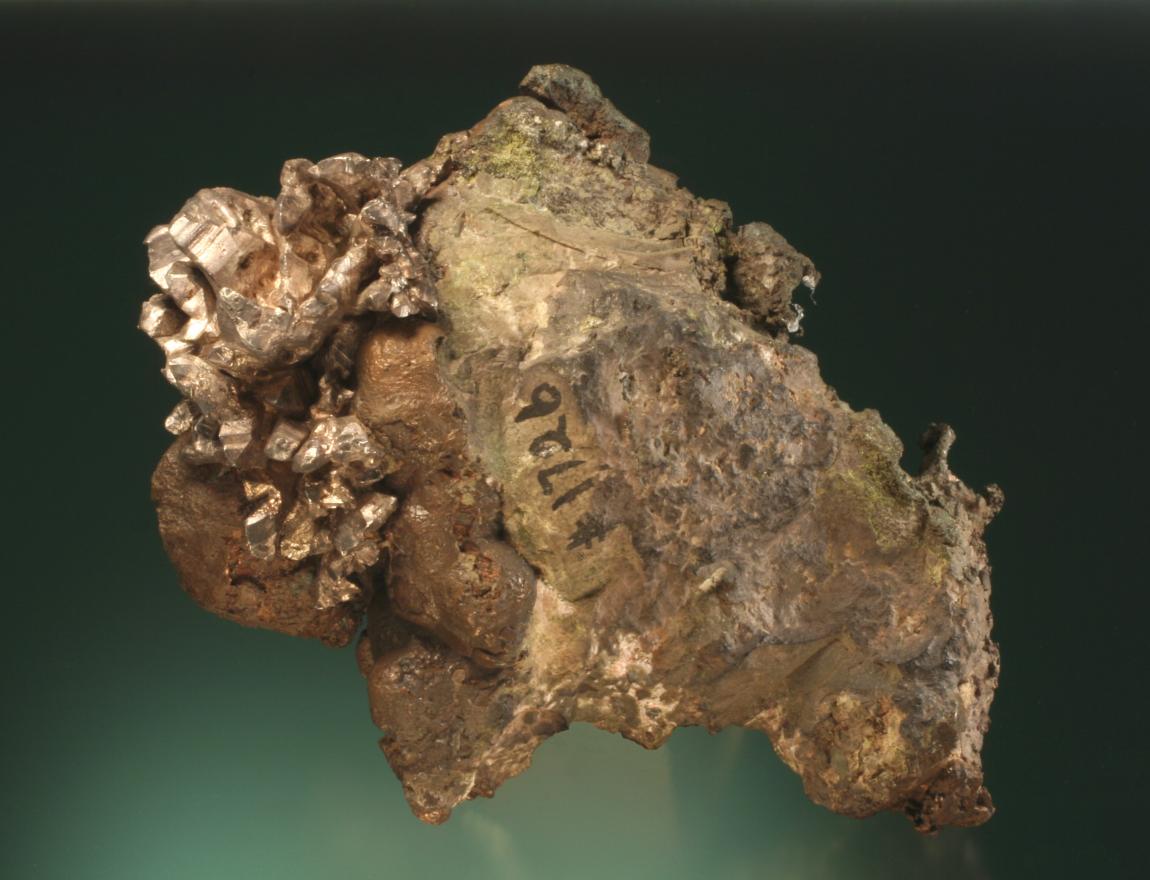Silver and copper, North Kearsarge Mine, Houghton County, Michigan. “The Buffalo” is one of the museum’s most recognizable specimens. It features some of the largest crystals of silver known from the district on crudely crystallized copper. From collection of J. T. Reeder. Specimen 18 cm wide. Photo by G. Robinson. (JTR 1726)