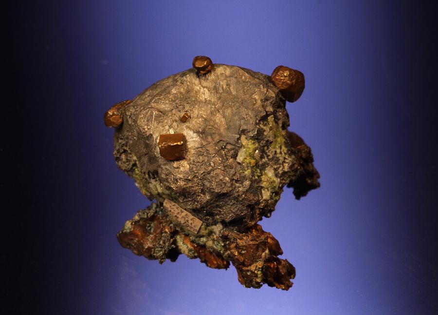 Silver, copper, Copper Falls Mine, Keweenaw County, Michigan. A large silver crystal hosting a number of small copper crystals. Donor: D. C. Gabriel. Specimen 2.8 cm wide. Photo by C. Stefano. (DCG1000)