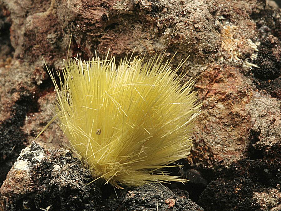 Uranophane, Faraday Mine, Bancroft, Ontario, Canada. Uranophane is a rare and often beautiful uranium mineral. The Faraday Mine is a lesser-known locality for outstanding examples. Crystal group 1.5 cm across. Photo by G. Robinson. (DM 27723)