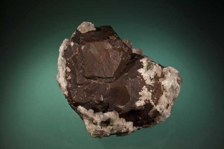 Copper, Keweenaw Peninsula, Michigan. One of the largest and finest single copper crystals. Donated by L. L. Hubbard. Specimen 14.5 cm wide. Photo by C. Stefano. (UM4457)